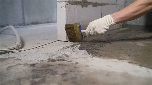 SJ Waterproofing Pros Waterproofing coverage map for Kingsport, TN and surrounding area